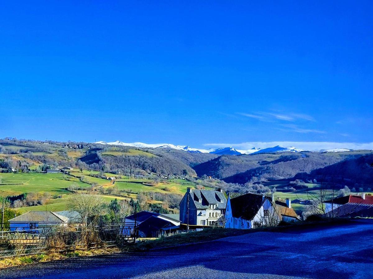 Gites Puy Mary Et Puy Griou Saint-Cernin  Dış mekan fotoğraf
